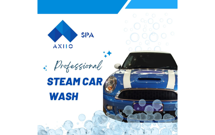 Axlo Professional Steam wash